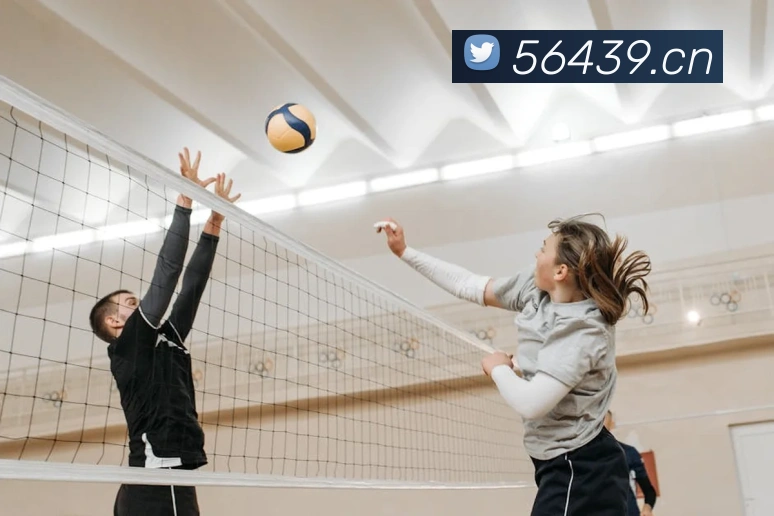 乐竞官方在线登录入口服务体系