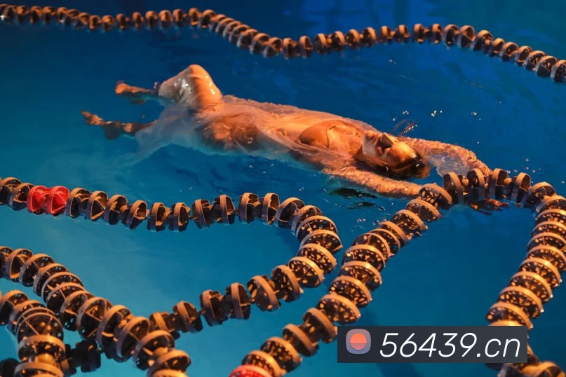 多媒体互动体验